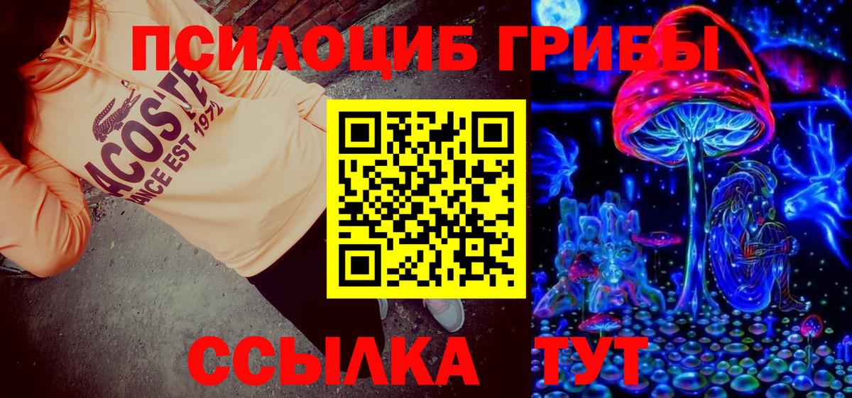 Галлюциногенные грибы GOLDEN TEACHER  наркотики  Вход с VPN  Тимашёвск  Галлюциногенные грибы мицелий 